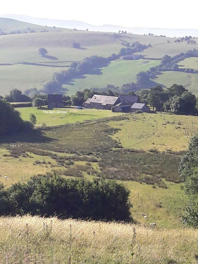 The Barn Annexe, Cefn-Yr-Allt Crickadarn Exterior foto